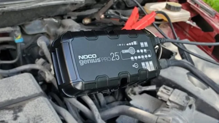 8 Best Battery Maintainers in 2025